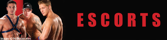 escorts escorts