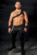 Harness-Gladiator