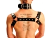 harness-collar